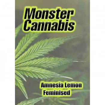 Amnesia Lemon feminised